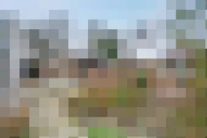 Esdoornstraat 8 Roden thumbnail 35