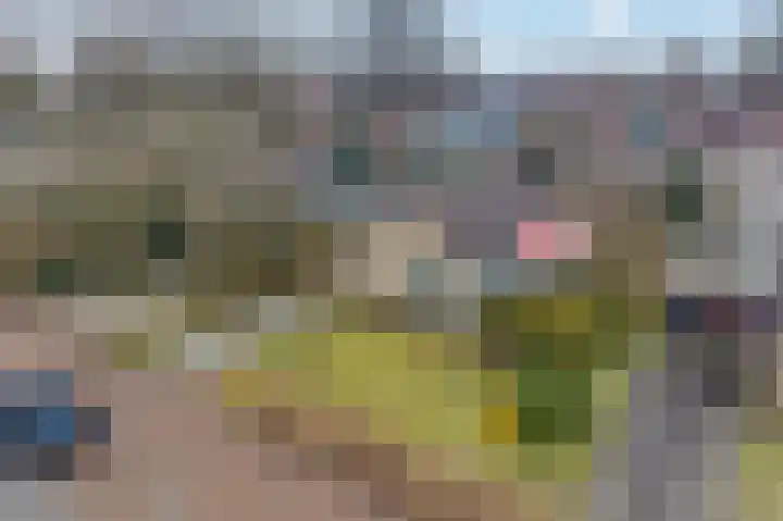 Esdoornstraat 8 Roden thumbnail 5