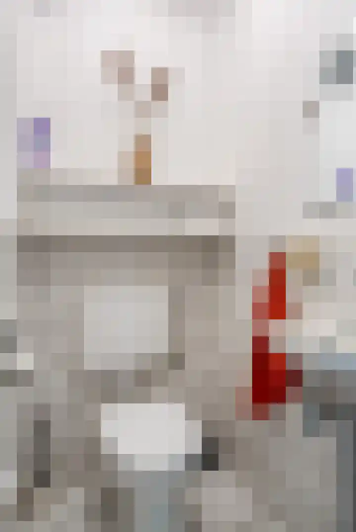 Esdoornstraat 8 Roden thumbnail 9