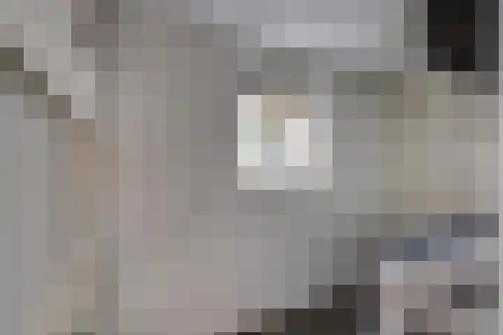Eshoflaan 35 Woudenberg thumbnail 22