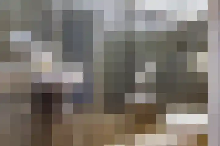 Eshoflaan 35 Woudenberg thumbnail 36