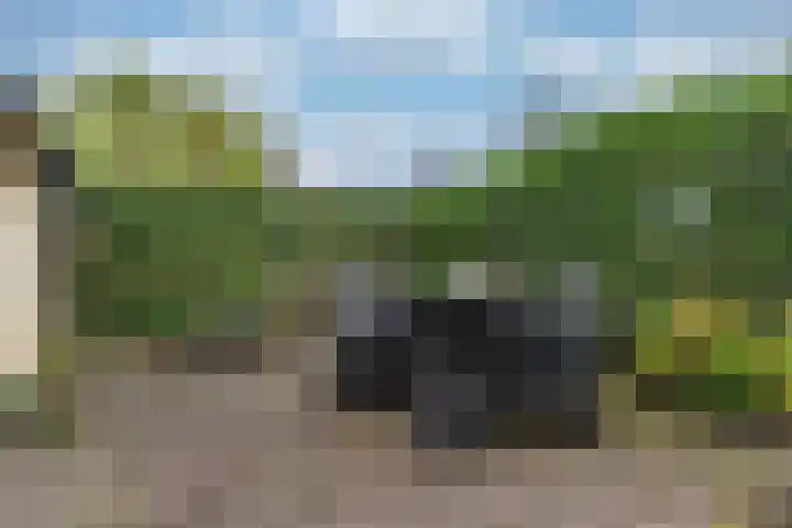 Eshoflaan 35 Woudenberg thumbnail 54