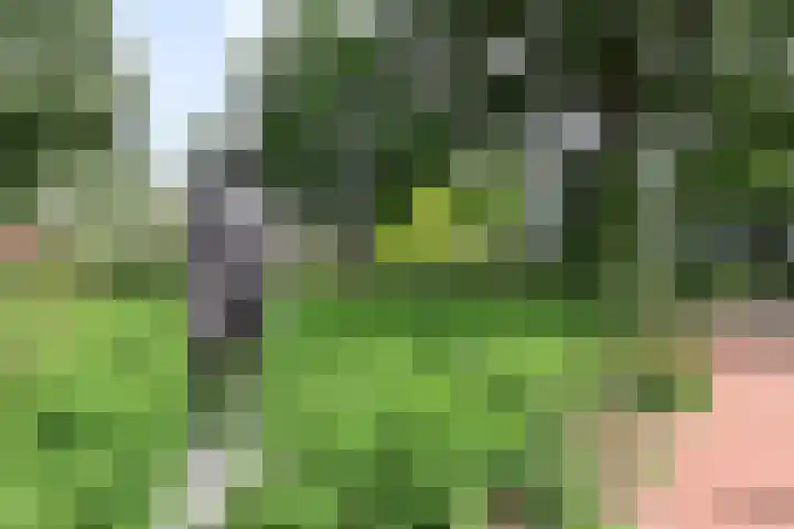 Eslaan 22 Bussum thumbnail 11