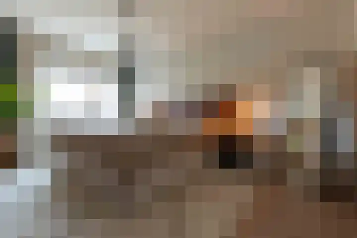 Esmarkelaan 402 Enschede thumbnail 12