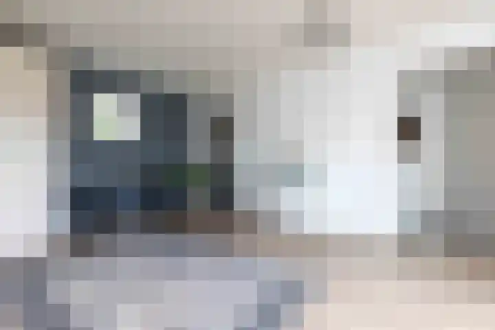 Esmarkelaan 402 Enschede thumbnail 20