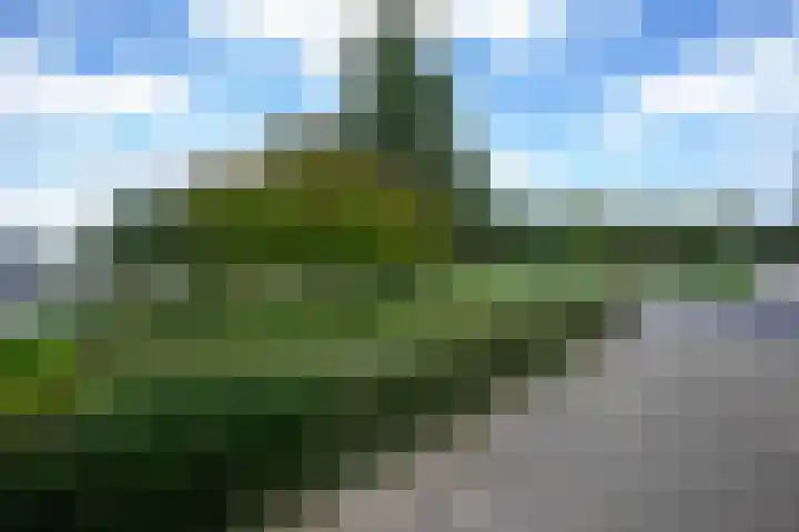 Esmarkelaan 402 Enschede thumbnail 30