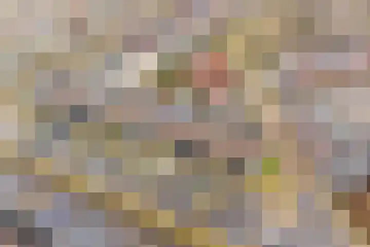 Esmarkelaan 404 Enschede thumbnail 30