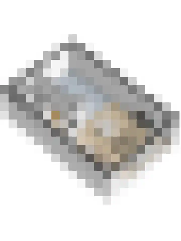 Esmarkelaan 404 Enschede thumbnail 39