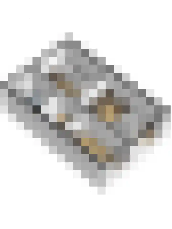 Esmarkelaan 404 Enschede thumbnail 40