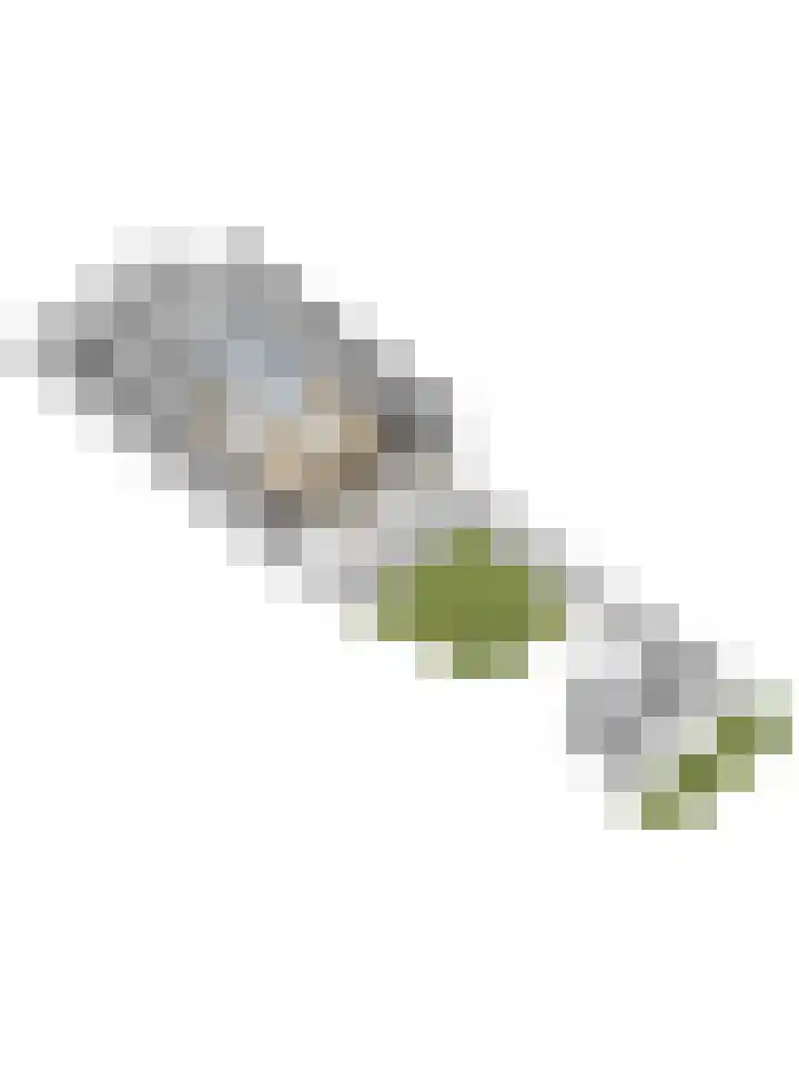 Esmarkelaan 404 Enschede thumbnail 42