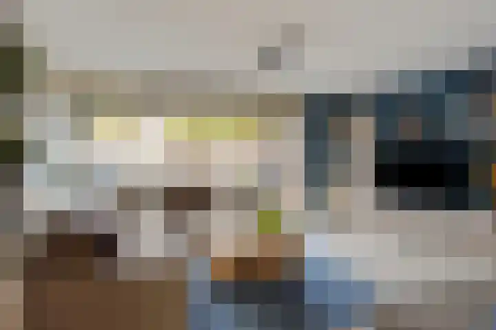 Esmarkelaan 460 Enschede thumbnail 12