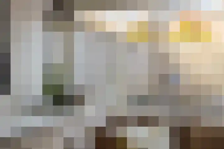 Esmarkelaan 460 Enschede thumbnail 15