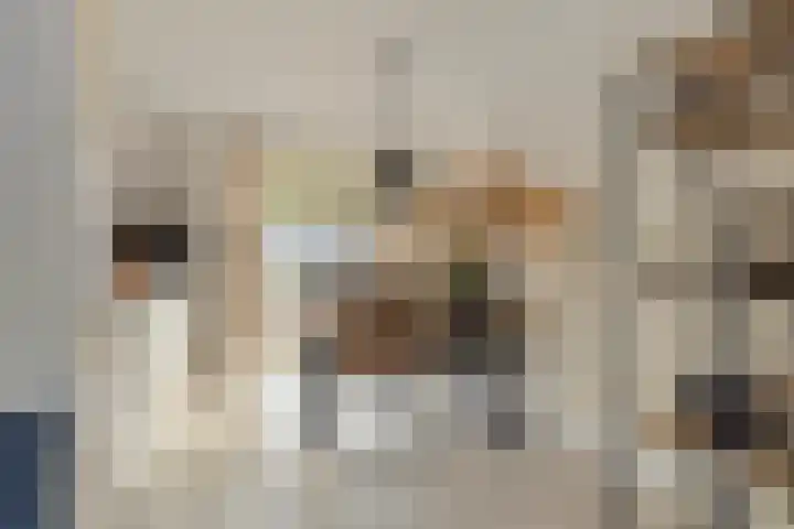 Esmarkelaan 460 Enschede thumbnail 16