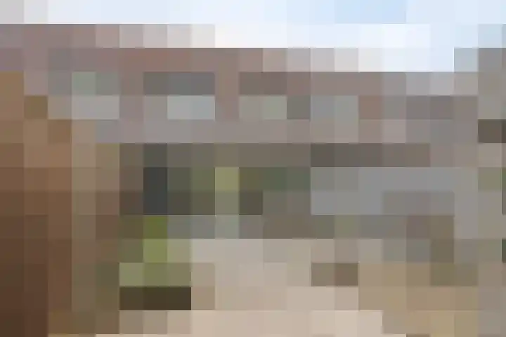 Esmarkelaan 460 Enschede thumbnail 30