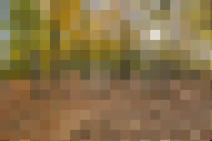Esmarkelaan 460 Enschede thumbnail 32