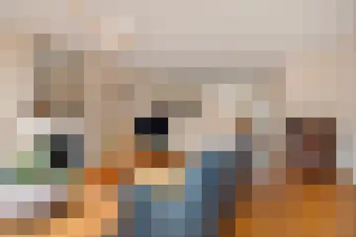 Esmoreitschouw 62 Zoetermeer thumbnail 13