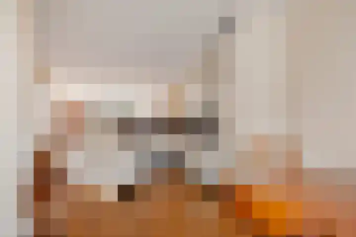 Esmoreitschouw 62 Zoetermeer thumbnail 17