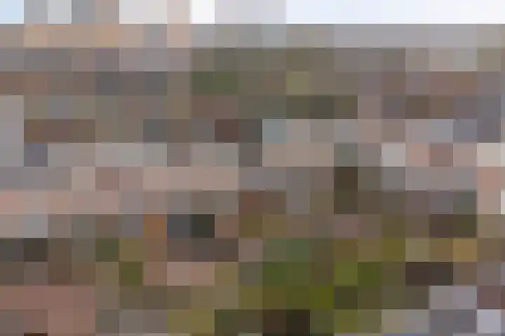Esmoreitschouw 62 Zoetermeer thumbnail 34