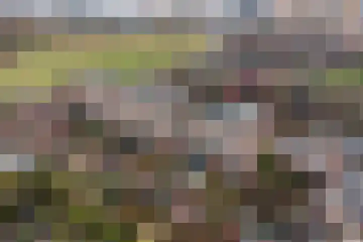 Esmoreitschouw 62 Zoetermeer thumbnail 35