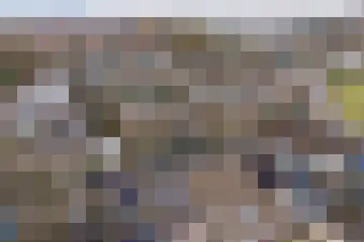 Esmoreitschouw 62 Zoetermeer thumbnail 36