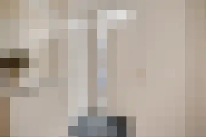 Esmoreitschouw 62 Zoetermeer thumbnail 7