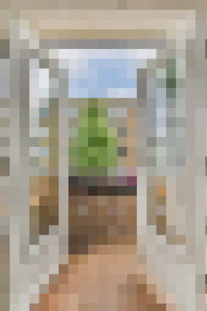 Esmoreitstraat 5 1 Amsterdam thumbnail 12