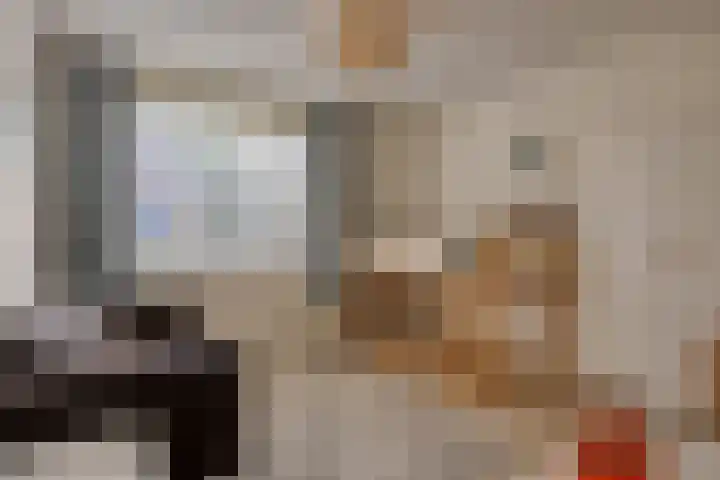 Espenhof 30 Rosmalen thumbnail 25