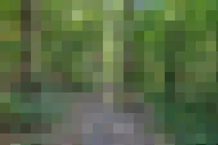 Espenhof 30 Rosmalen thumbnail 40