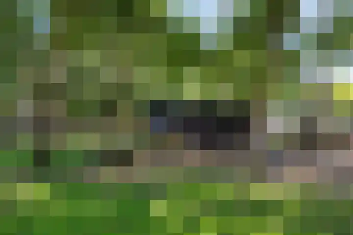 Espenhof 30 Rosmalen thumbnail 41