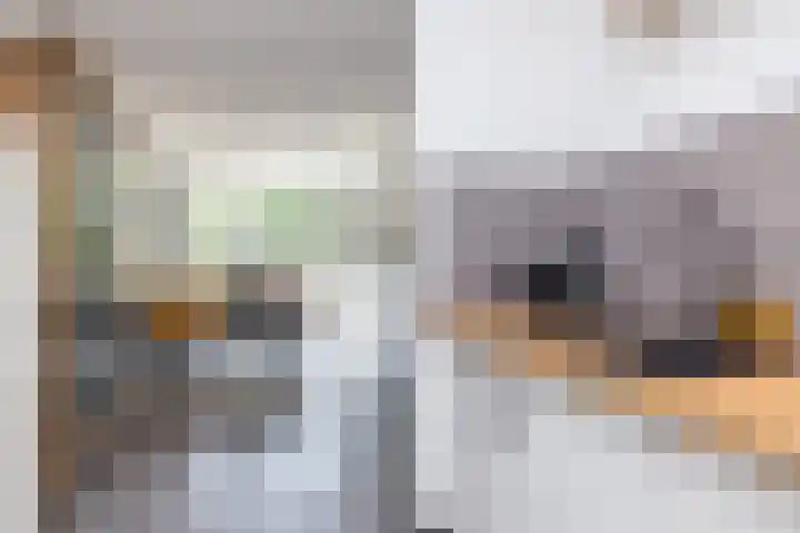 Esperantoplein 22 Ransdaal thumbnail 12