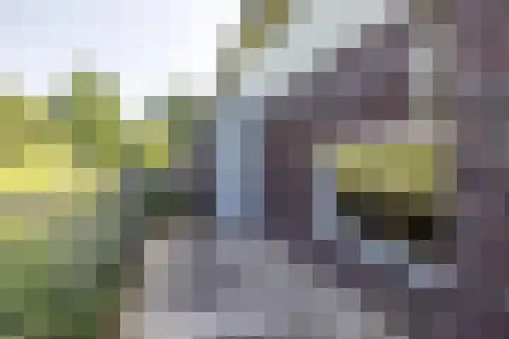 Esperantoplein 22 Ransdaal thumbnail 27