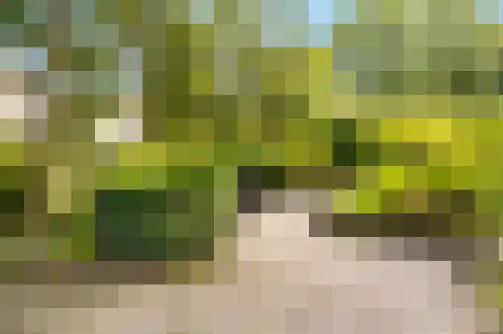 Esplanade de Meer 94 Amsterdam thumbnail 38