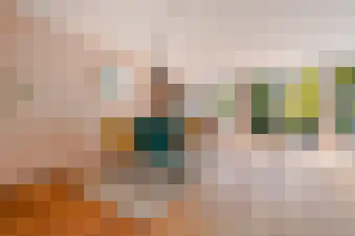 Esplanade de Meer 94 Amsterdam thumbnail 6