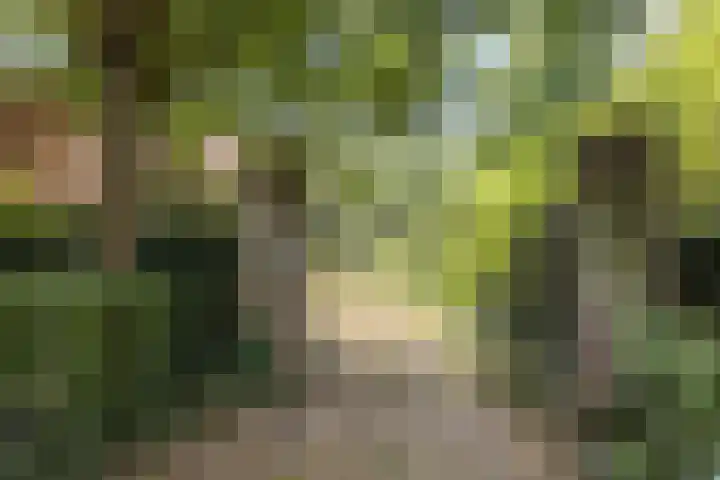 Esschenweg 121 Heerlen thumbnail 29