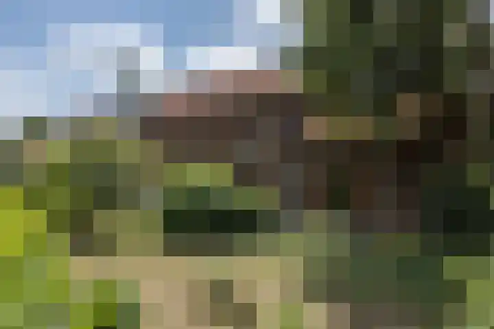 Esschenweg 121 Heerlen thumbnail 41