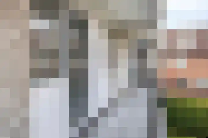 Esscheweg 198 Vught thumbnail 22