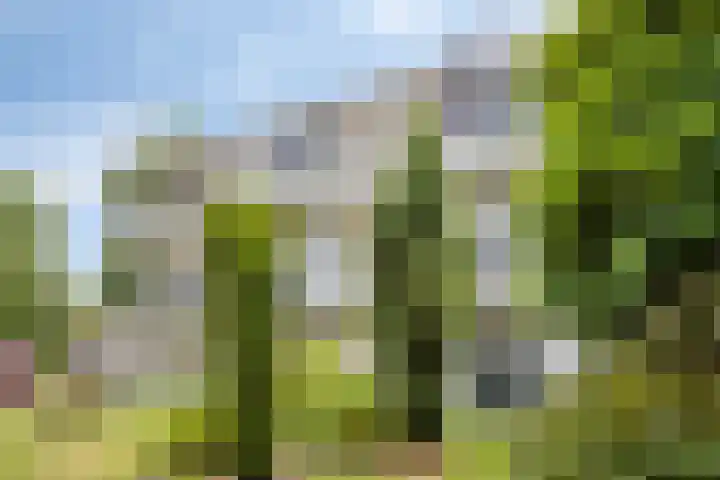 Esscheweg 198 Vught thumbnail 31