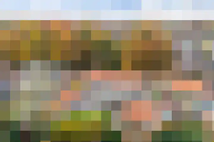 Esscheweg 67 Vught thumbnail 7