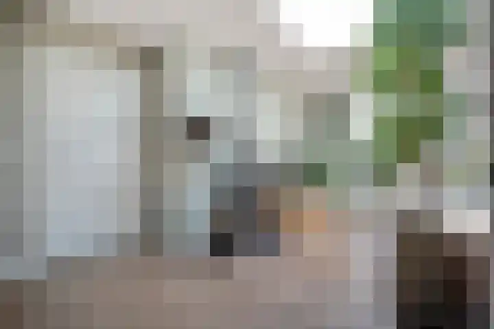 Esschingstraat 33 Dalfsen thumbnail 12
