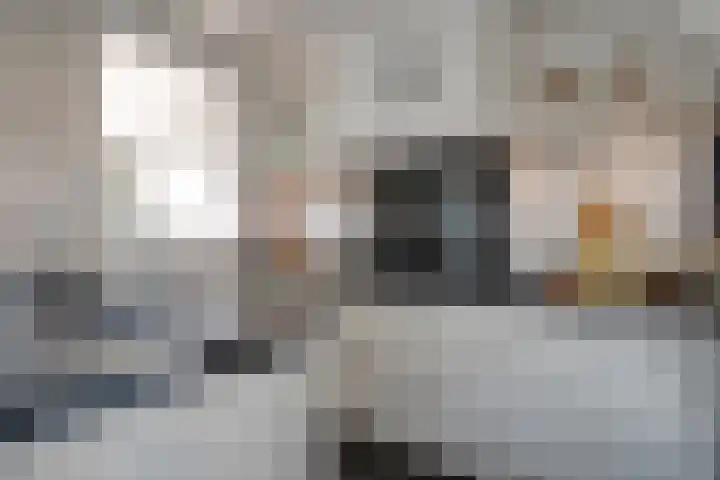 Esschingstraat 33 Dalfsen thumbnail 18