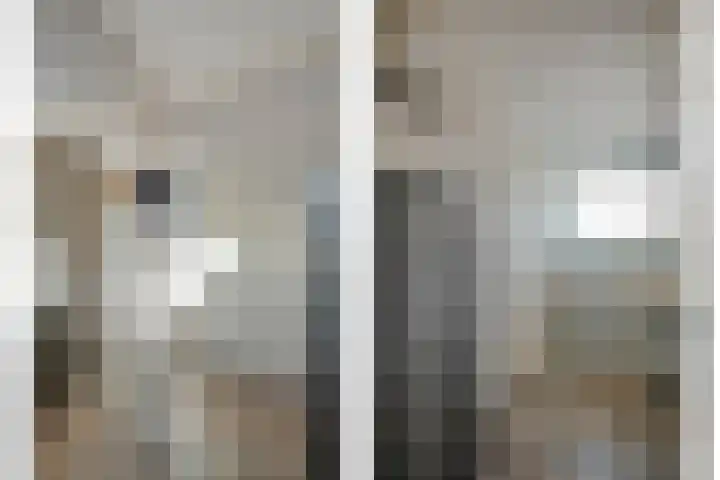 Esschingstraat 33 Dalfsen thumbnail 30