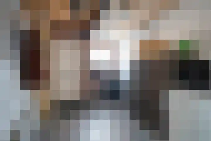 Esschingstraat 33 Dalfsen thumbnail 33