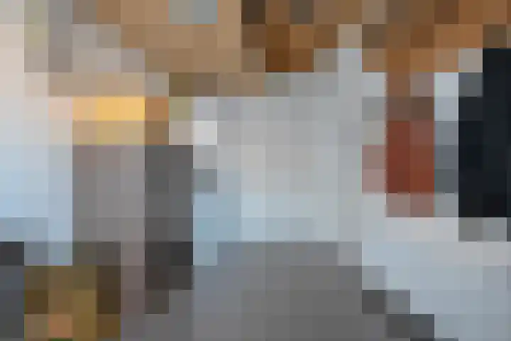 Esschingstraat 33 Dalfsen thumbnail 34