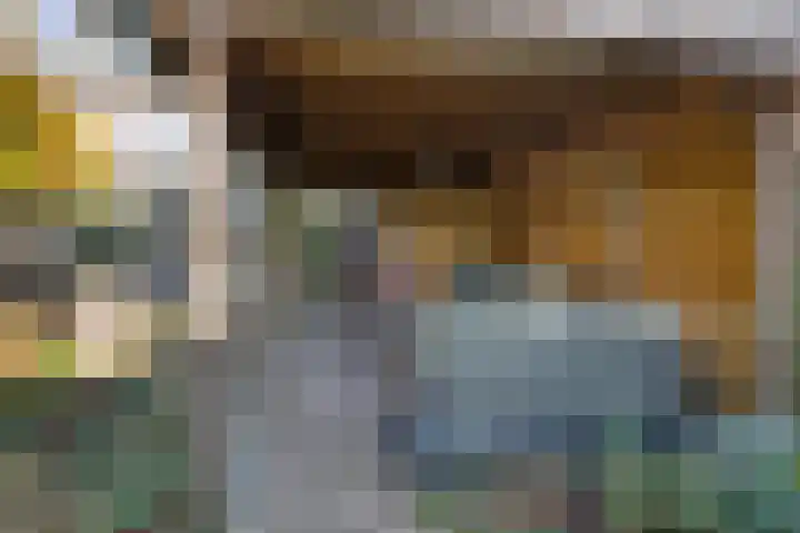 Esschingstraat 33 Dalfsen thumbnail 36
