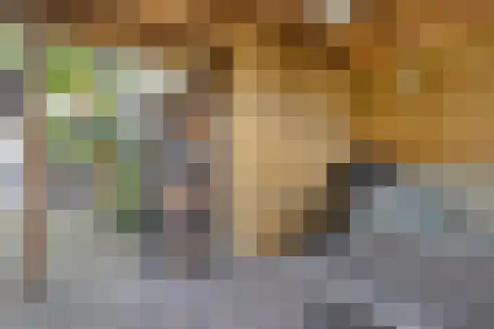 Esschingstraat 33 Dalfsen thumbnail 38
