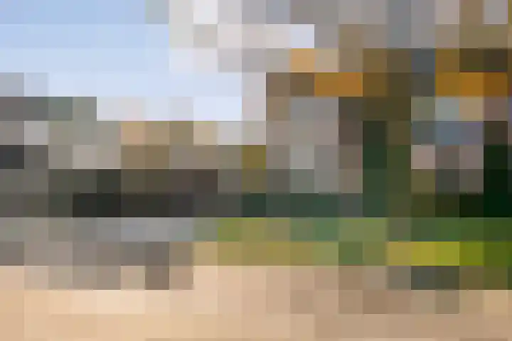 Esschingstraat 33 Dalfsen thumbnail 43