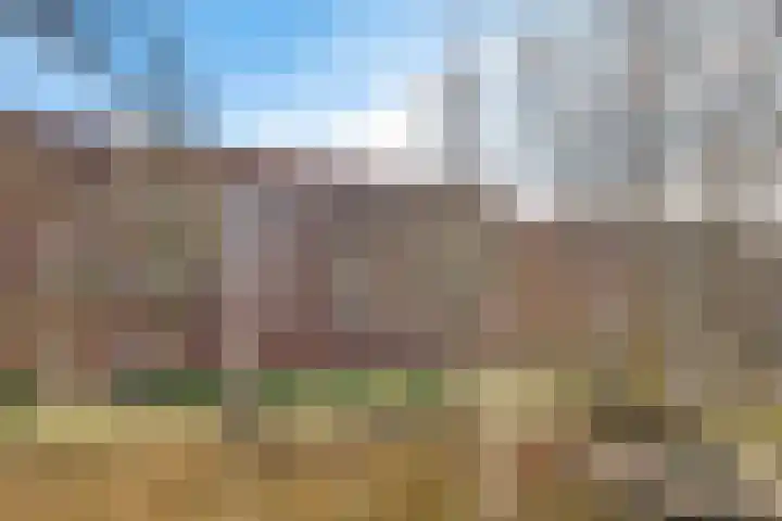 Essehout 106 Zoetermeer thumbnail 10