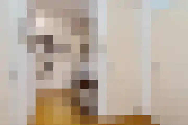 Essehout 106 Zoetermeer thumbnail 14
