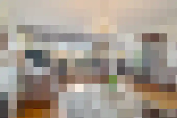 Essehout 106 Zoetermeer thumbnail 17