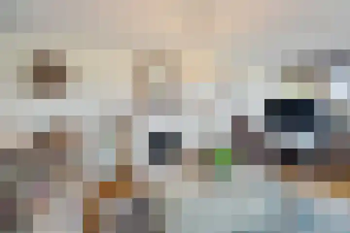 Essehout 106 Zoetermeer thumbnail 18
